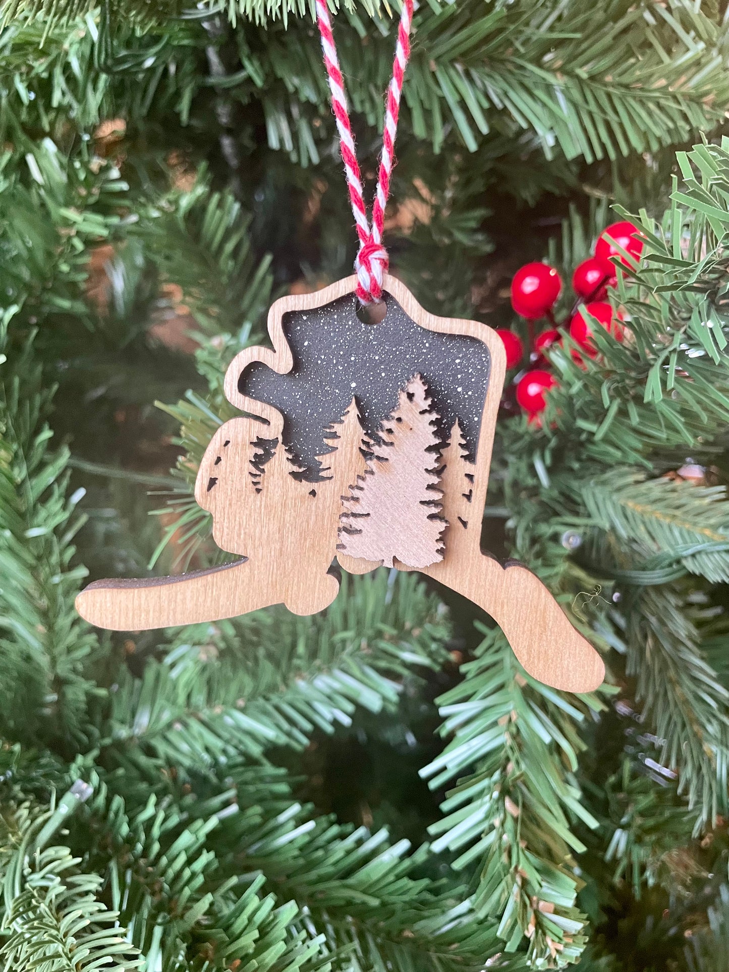 Alaska Night Sky Ornament