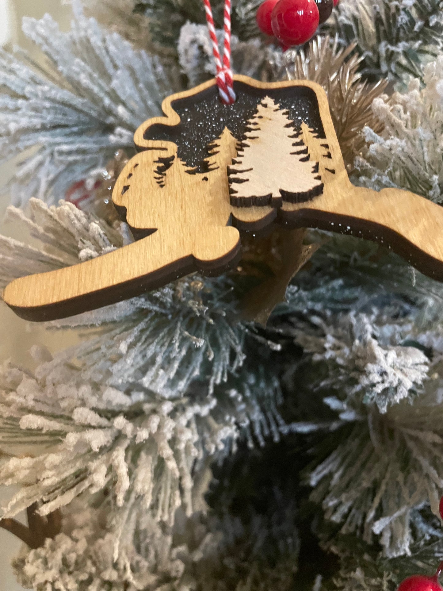 Alaska Night Sky Ornament
