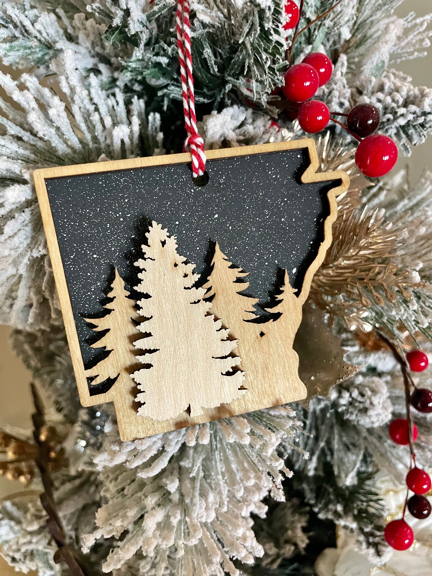 Arkansas Night Sky Ornament