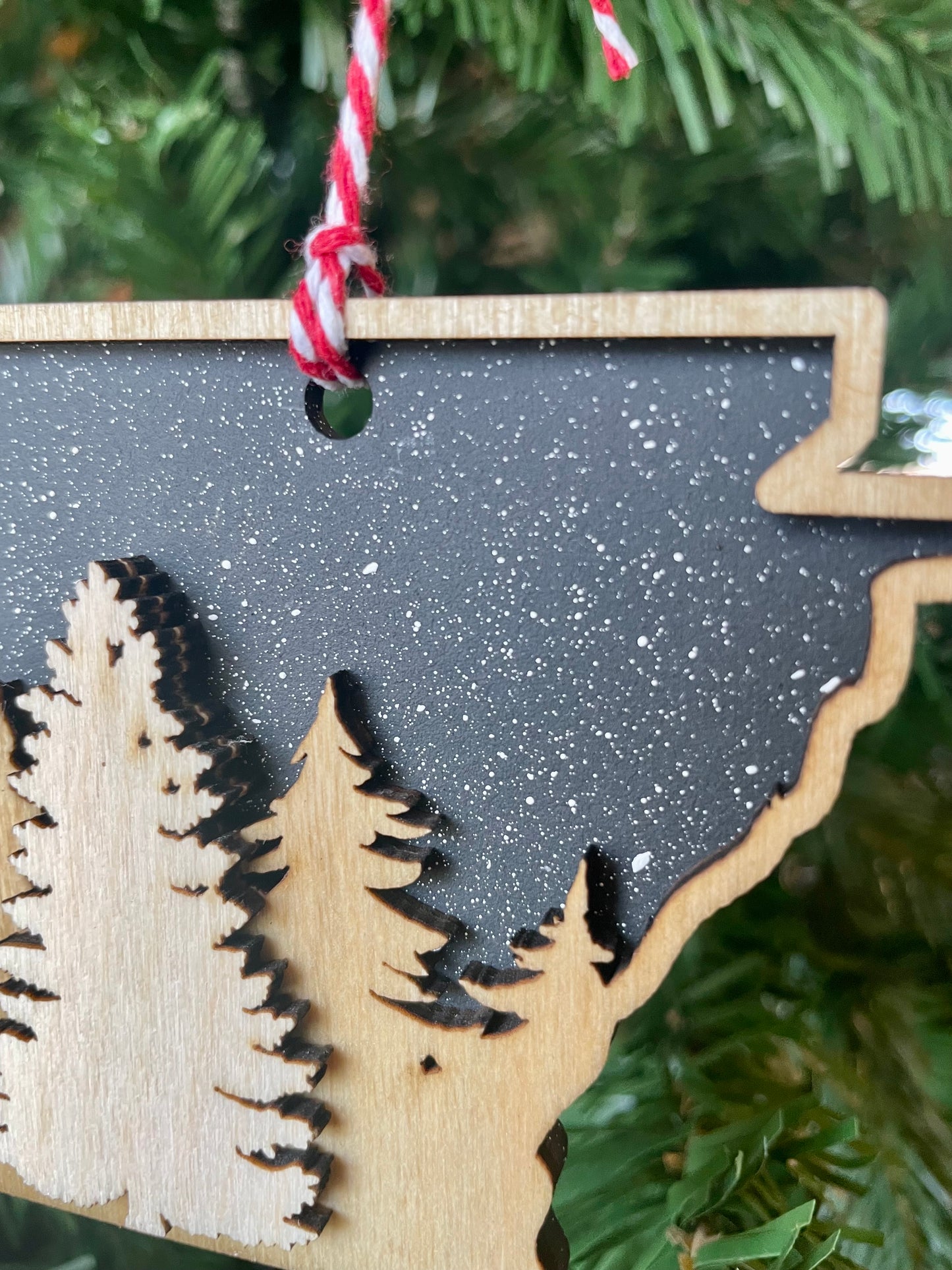 Arkansas Night Sky Ornament