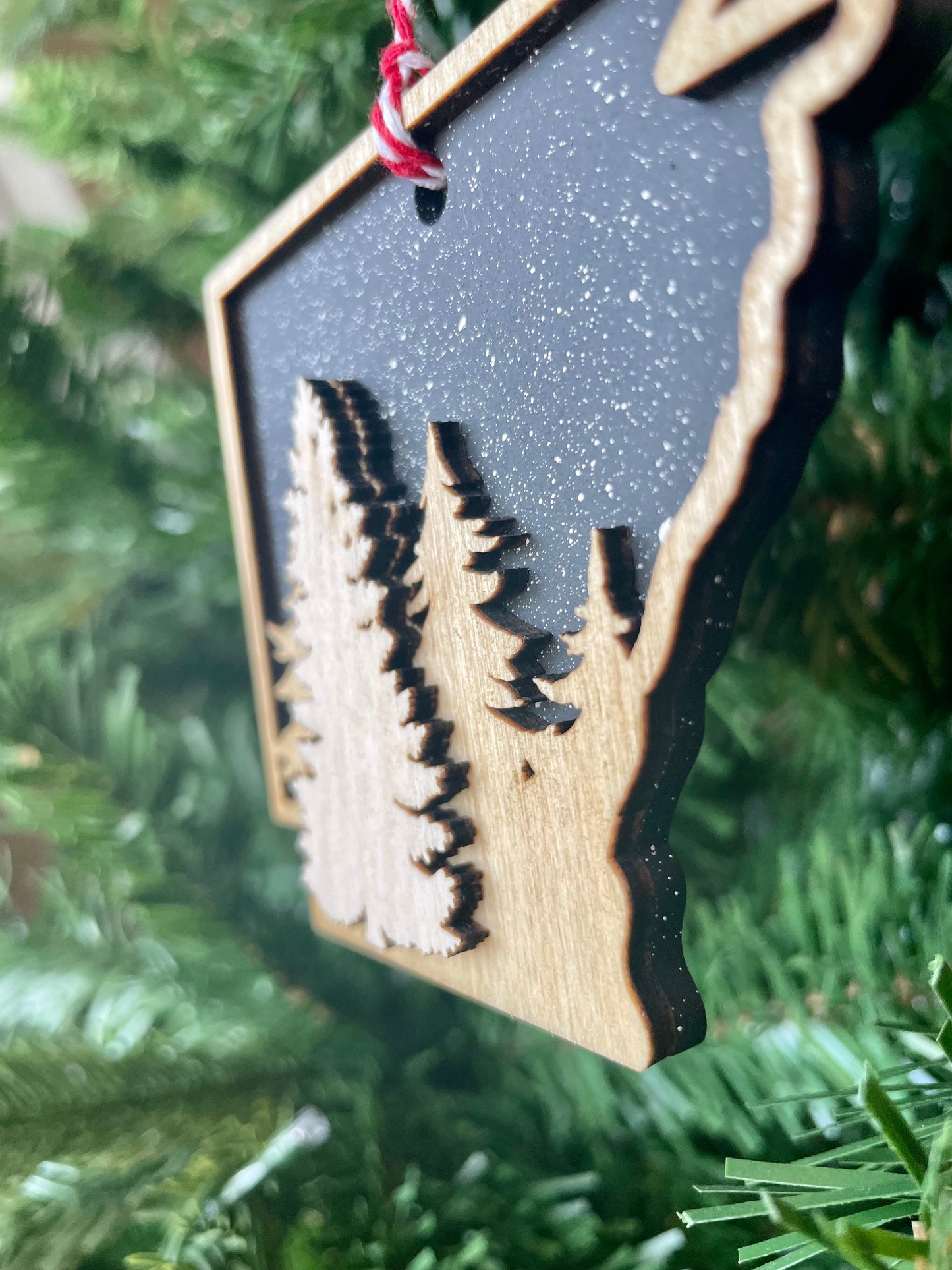 Arkansas Night Sky Ornament