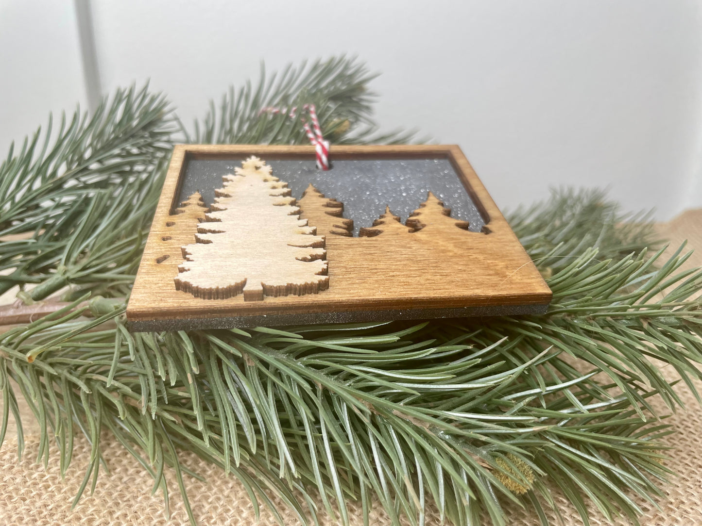 Colorado Night Sky Ornament