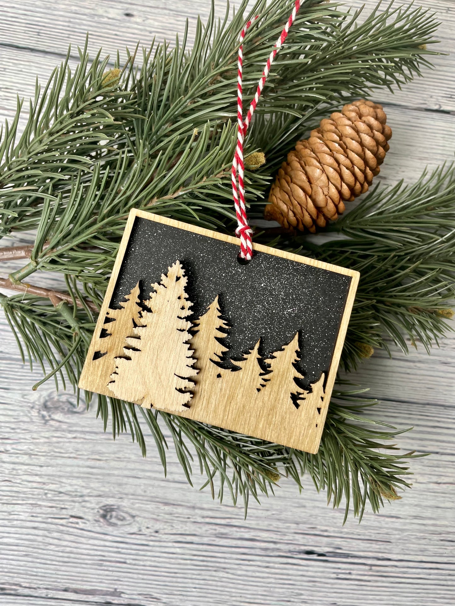 Colorado Night Sky Ornament