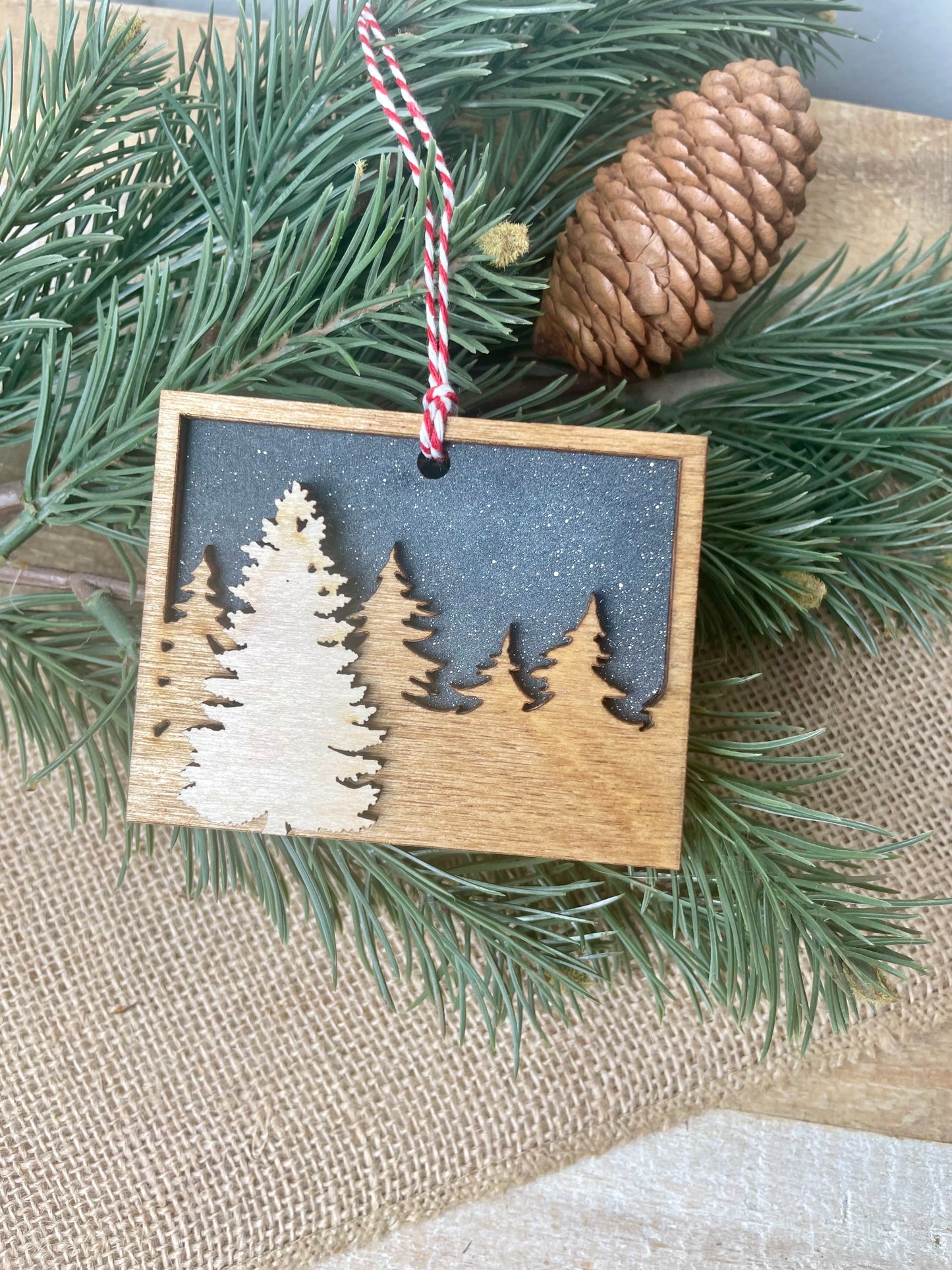 Colorado Night Sky Ornament